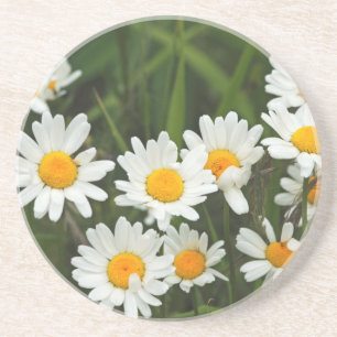 USA, Washington, Seattle, Puget Sound 3 Coaster