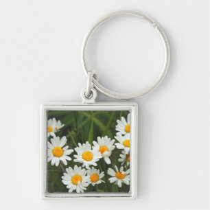 USA, Washington, Seattle, Puget Sound 3 Keychain