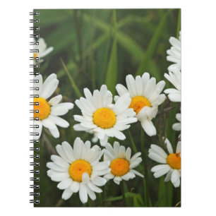 USA, Washington, Seattle, Puget Sound 3 Notebook