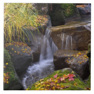 USA, Washington, Seattle Tile