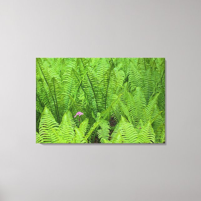 USA, Washington, Seattle, Washington Park Canvas Print (Front)