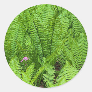 USA, Washington, Seattle, Washington Park Classic Round Sticker