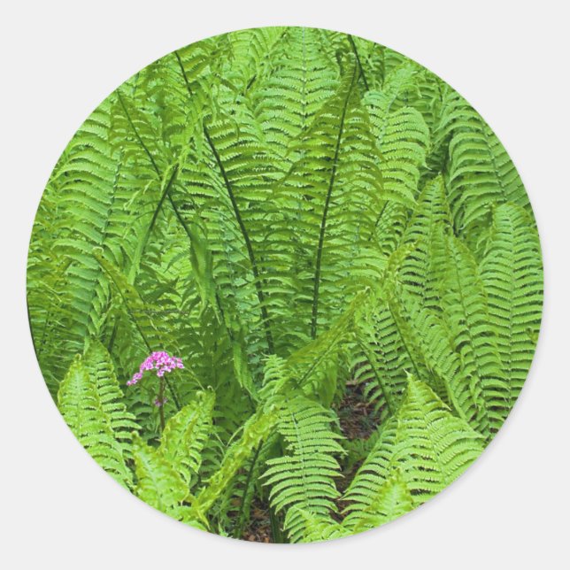 USA, Washington, Seattle, Washington Park Classic Round Sticker (Front)