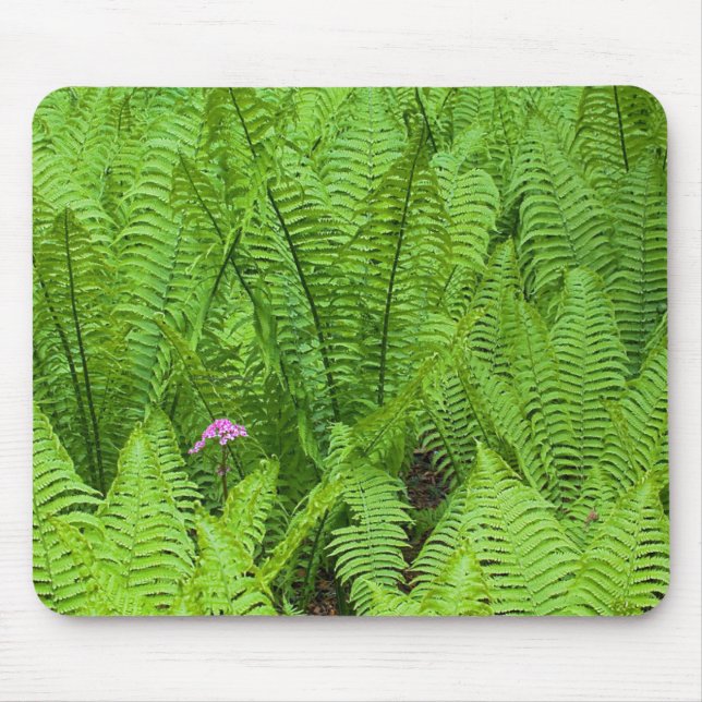 USA, Washington, Seattle, Washington Park Mouse Pad (Front)