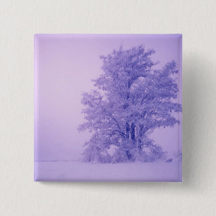 USA, Washington, Spokane County, Frosted 2 Inch Square Button