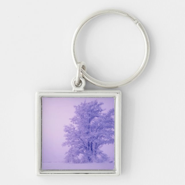 USA, Washington, Spokane County, Frosted Keychain (Front)