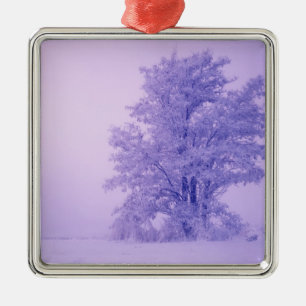USA, Washington, Spokane County, Frosted Metal Ornament