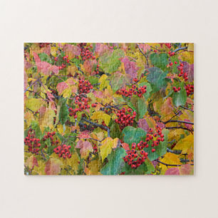 USA, Washington, Spokane County, Hawthorn Leaves 2 Jigsaw Puzzle