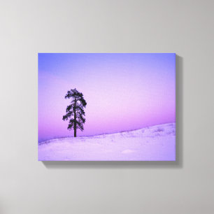 USA, Washington, Spokane County, Riverside Canvas Print