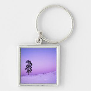 USA, Washington, Spokane County, Riverside Keychain