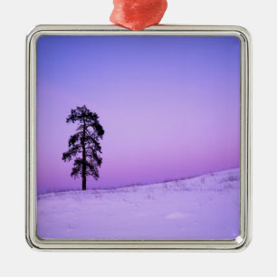 USA, Washington, Spokane County, Riverside Metal Ornament