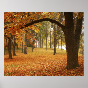 USA, Washington, Spokane, Manito Park, Autumn 2 Poster