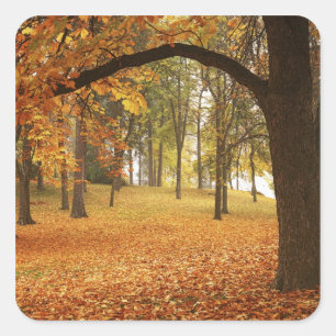 USA, Washington, Spokane, Manito Park, Autumn 2 Square Sticker