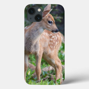 USA, Washington State. Blacktail Deer Fawn iPhone 13 Case