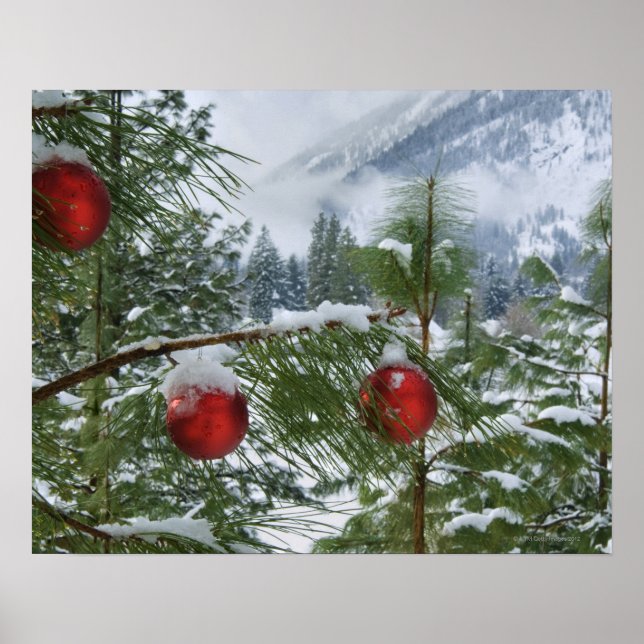 USA, Washington State, Chelan County Poster (Front)