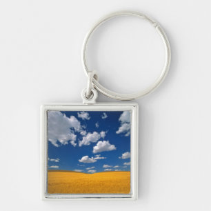 USA, Washington State, Colfax. Ripe barley meets Keychain