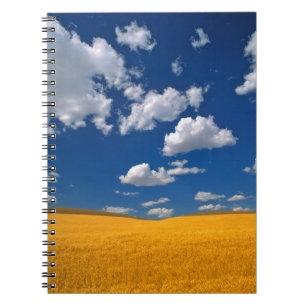 USA, Washington State, Colfax. Ripe barley meets Notebook