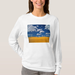USA, Washington State, Colfax. Ripe barley meets T-Shirt