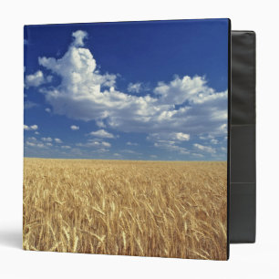 USA, Washington State, Colfax. Ripe wheat Binder