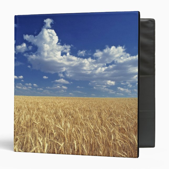 USA, Washington State, Colfax. Ripe wheat Binder (Front/Inside)