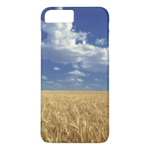 USA, Washington State, Colfax. Ripe wheat Case-Mate iPhone Case