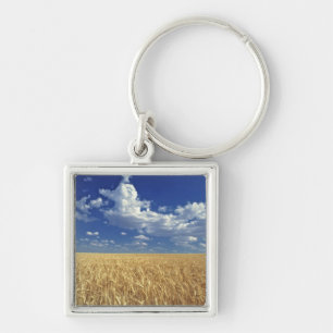 USA, Washington State, Colfax. Ripe wheat Keychain