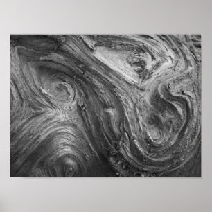 USA, Washington State. Douglass Fir Poster