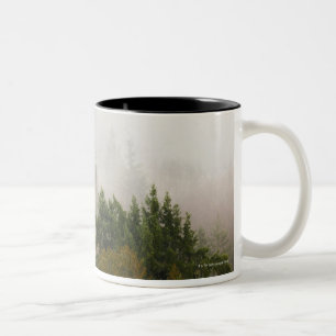 USA, Washington State, Kitsap County, Seabeck, 2 Two-Tone Coffee Mug