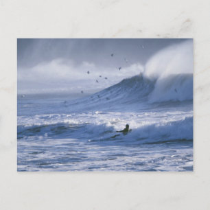USA, Washington State, La Push. Man kayak Postcard