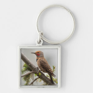 USA, Washington State. Male Northern Flicker 2 Keychain