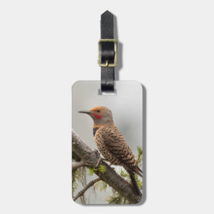USA, Washington State. Male Northern Flicker 2 Luggage Tag