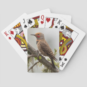 USA, Washington State. Male Northern Flicker 2 Playing Cards