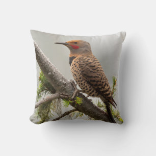 USA, Washington State. Male Northern Flicker 2 Throw Pillow
