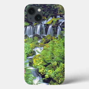 USA, Washington State, Mt Adams Wilderness. Twin iPhone 13 Case