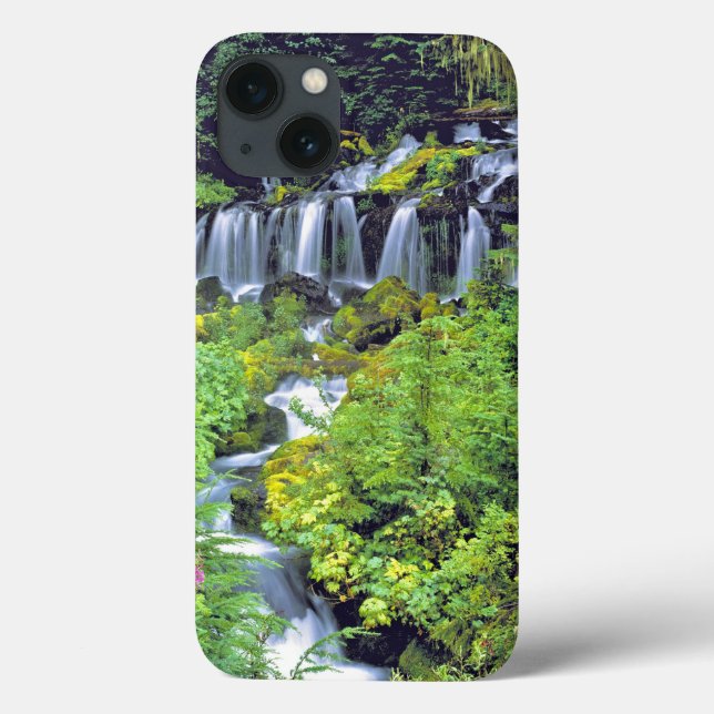 USA, Washington State, Mt Adams Wilderness. Twin Case-Mate iPhone Case (Back)