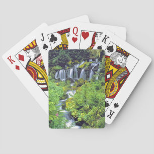 USA, Washington State, Mt Adams Wilderness. Twin Playing Cards