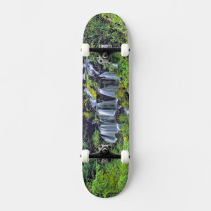 USA, Washington State, Mt Adams Wilderness. Twin Skateboard