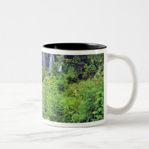 USA, Washington State, Mt Adams Wilderness. Twin Two-Tone Coffee Mug