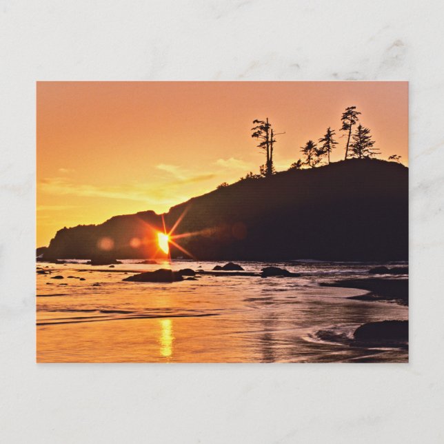 USA, Washington State, Olympic National Park. 3 Postcard (Front)