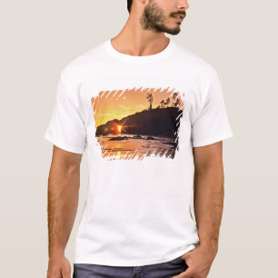 USA, Washington State, Olympic National Park. 3 T-Shirt
