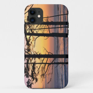 USA, Washington State, Olympic NP. Delicate iPhone 11 Case