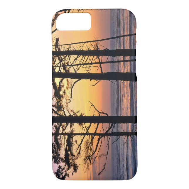 USA, Washington State, Olympic NP. Delicate Case-Mate iPhone Case (Back)