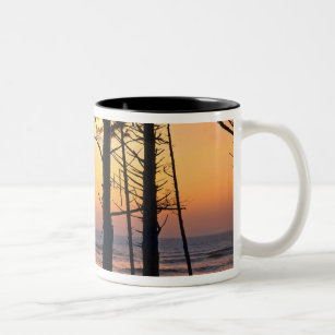 USA, Washington State, Olympic NP. Delicate Two-Tone Coffee Mug