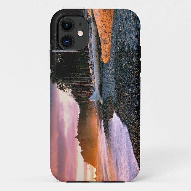 USA, Washington State, Olympic NP. Waves lap the Case-Mate iPhone Case (Back)