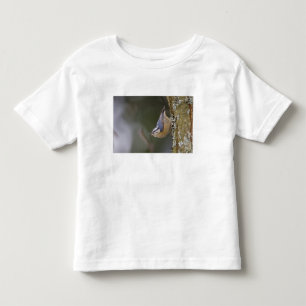 USA, Washington State, Red-brested Nuthatch, Toddler T-shirt