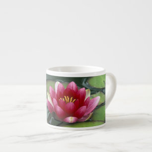 USA, Washington State, Seattle. Water lily and Espresso Cup