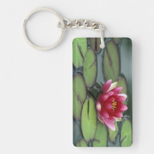 USA, Washington State, Seattle. Water lily and Keychain