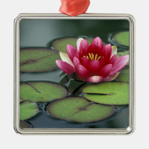 USA, Washington State, Seattle. Water lily and Metal Ornament