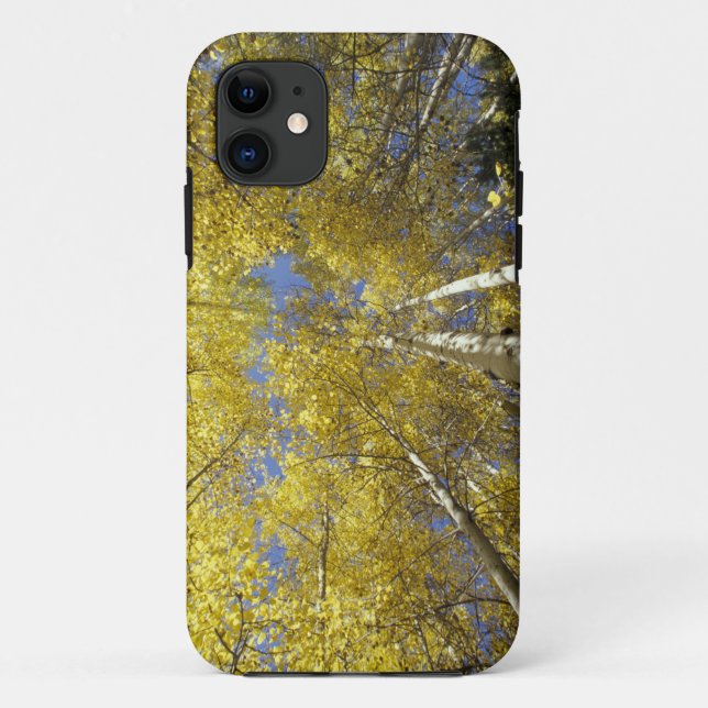 USA, Washington, Stevens Pass Fall-coloured aspen Case-Mate iPhone Case (Back)