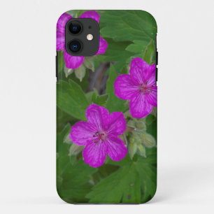 USA, Washington, Turnbull National Wildlife iPhone 11 Case